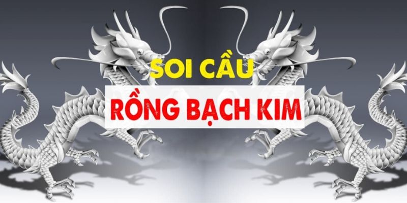 Bật mí các phương pháp hay mà cao thủ soi rồng bạch kim sử dụng  